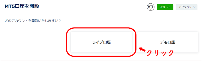 FXGTのMT5のライブ口座選択画面