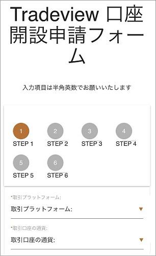スマホで見る「Tradeview 個人口座申請」画面